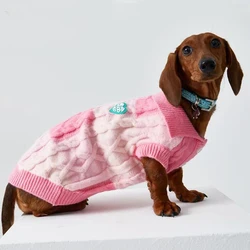 Jersey de punto para perro salchicha – Cálido para primavera
