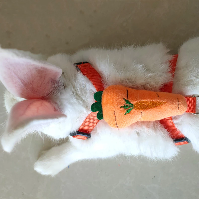 Juego de arnés y correa para conejos, accesorios para conejillos de indias, animales pequeños, suministros para exteriores, estilo de dibujos animados - imagen 4