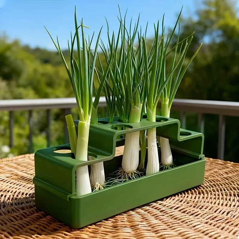 Cultivo de hierba para gatos con sistema hidropónico reutilizable - imagen 3