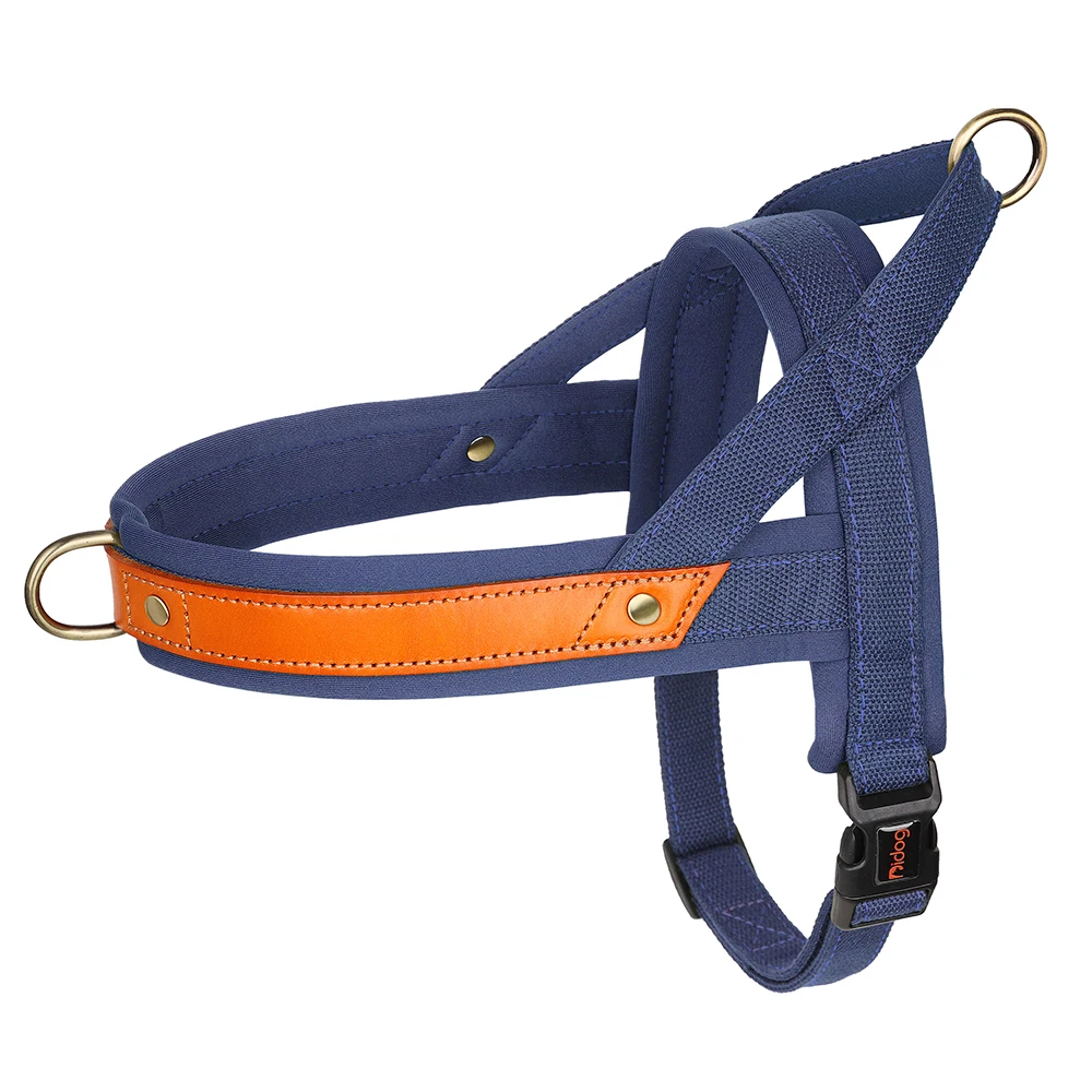 Dark Blue Harness