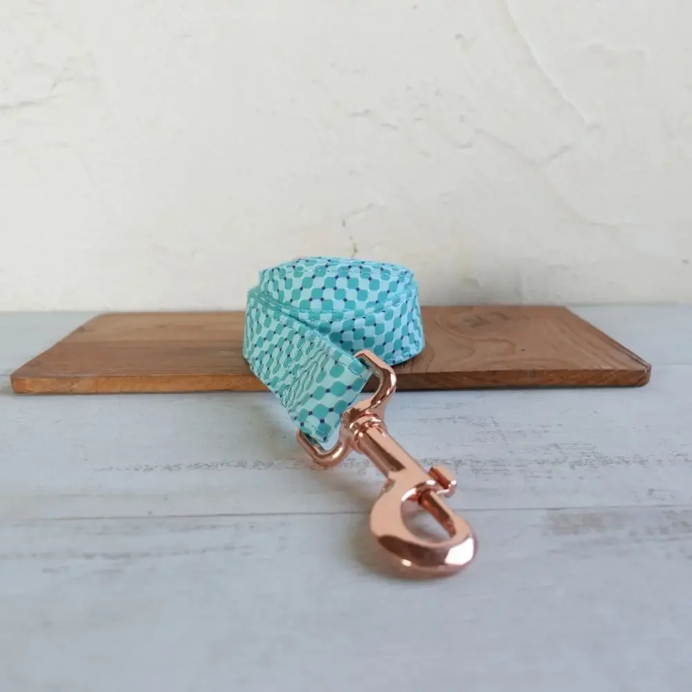 Collar personalizado para perro, Correa con grabado gratis, etiqueta de nombre de identificación, accesorio para mascota, piscina, cachorro - imagen 3