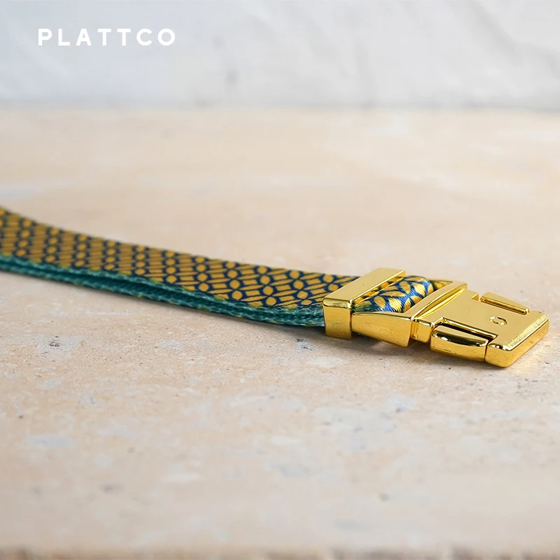 PLATTCO diseño único collar de perro estampado WEALTHY MONEDAS patrón y hebilla dorada de alta calidad tamaño 5 PDC305YG - imagen 4