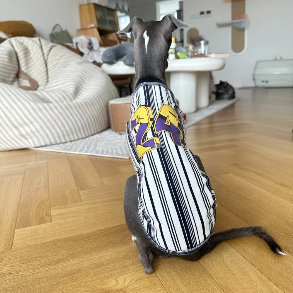 Camiseta deportiva de algodón para perros en primavera Chaleco de rayas Elestic Soft Spring para galgo italiano Ropa de estar por casa de verano para Whippet - imagen 4