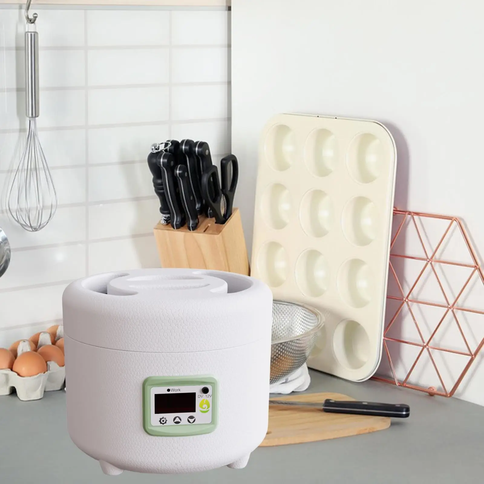 Small Brooder Digital Temperature Automatic Mini Hatchery Eggs Incubator Hatcher for Chicken Birds Hatcher