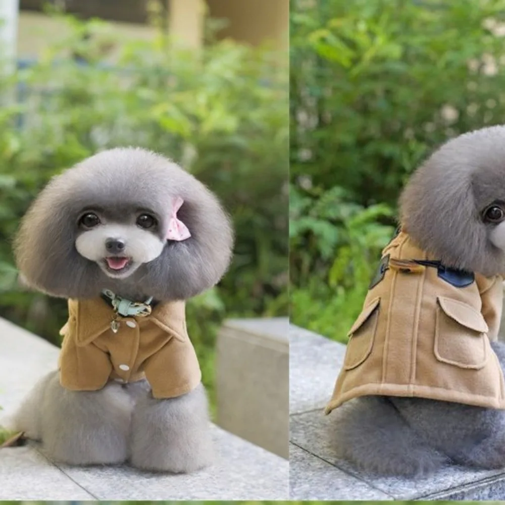 Abrigo de lana para mascotas, ropa para perros, abrigo para perros, cortavientos, lindo abrigo saliente, suéter para perros pequeños, ropa para cachorros, Otoño e Invierno - imagen 3