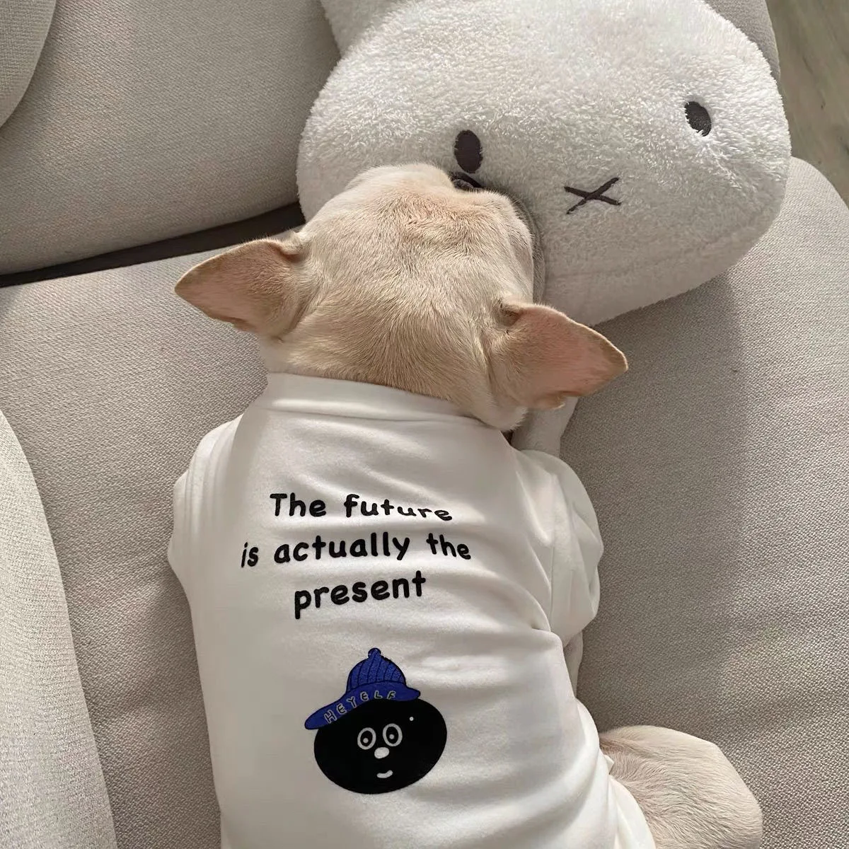 Ropa bonita de invierno para perros, Jersey cálido para cachorros, sudadera, chaqueta blanca para mascotas, abrigos para perros pequeños y medianos, disfraz de Bulldog Francés