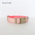 Dog Collar