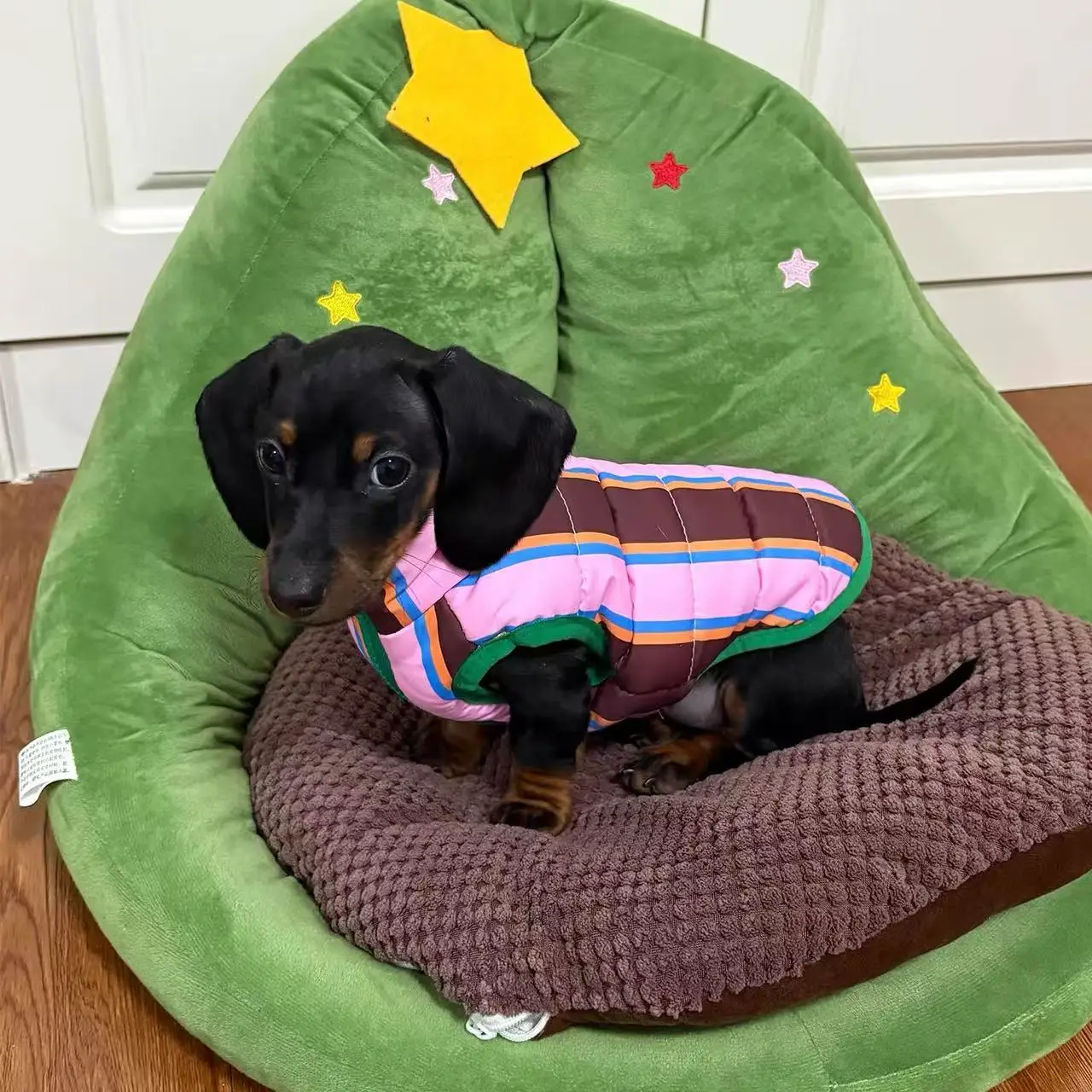 Chaqueta para perros salchicha con sombrero - abrigo calido ligero - imagen 5