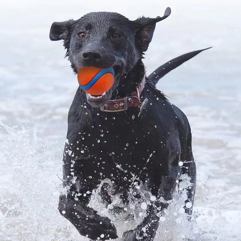 Pelota de goma hinchable para perros – Resistente a masticar y perfecta para lanzar - imagen 4