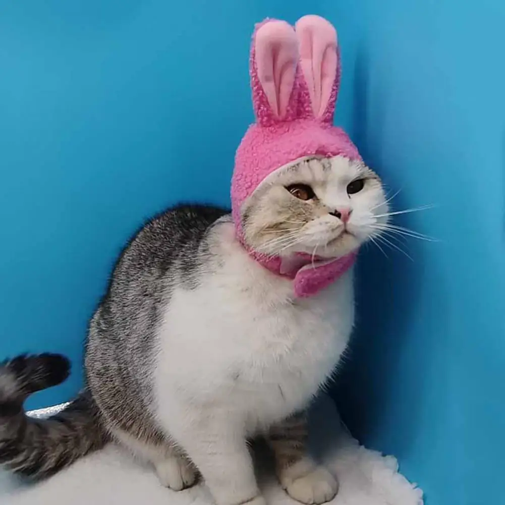Sombrero con Orejas de conejo para mascotas, gorro llamativo de dibujos animados para gatos y perros, bonito y acogedor, cálido y divertido, a la moda - imagen 3