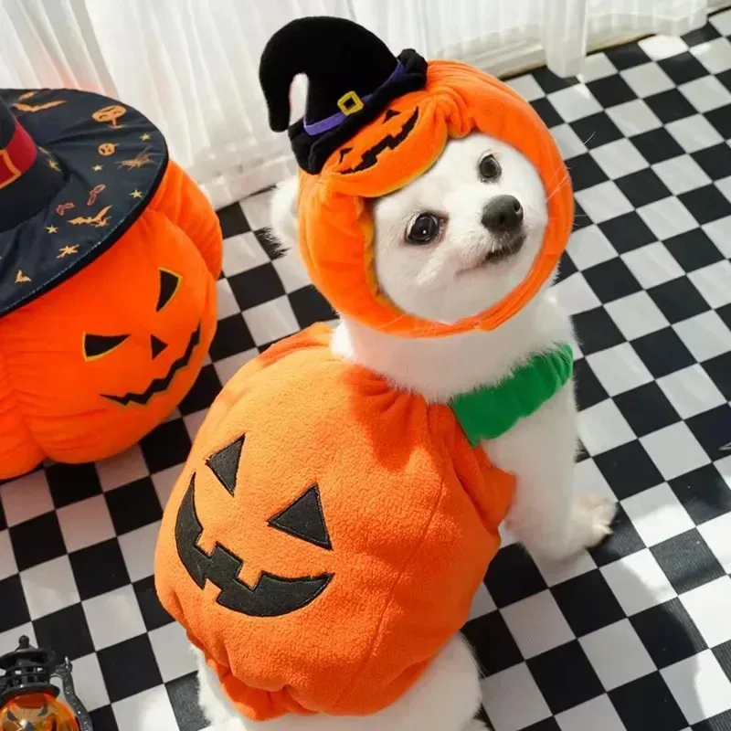 Lindo disfraz de calabaza para mascotas de Halloween: chaqueta y sombrero de dos patas para perros y gatos, divertido traje de linterna - imagen 3