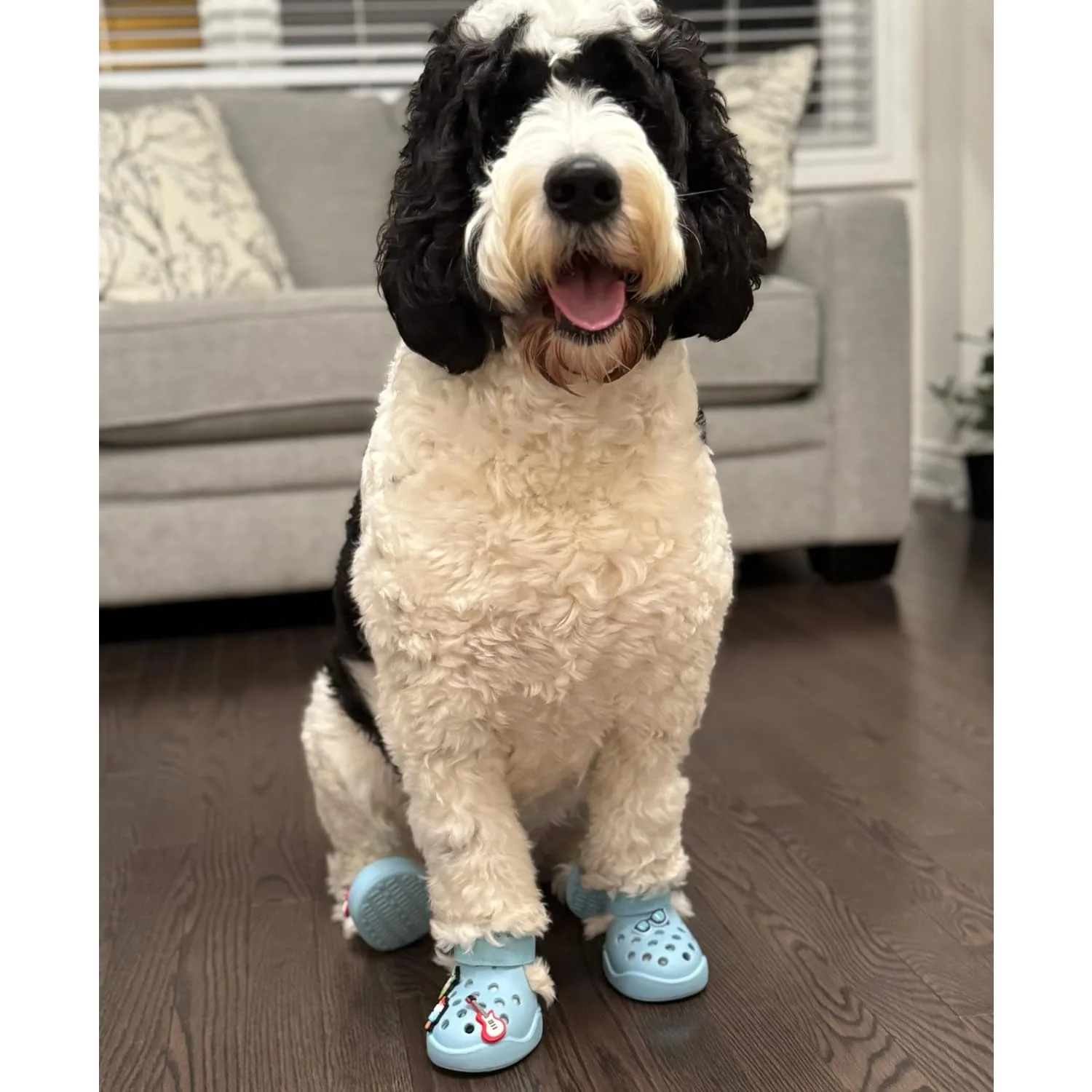 Botas antideslizantes para perro – Fáciles de poner, playa y exterior - imagen 5