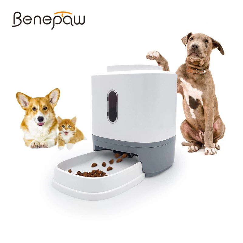 benepaw cuenco alimentador automático perro dispensador comida seca antideslizante mascotas pequeñas medianas alimentación lenta