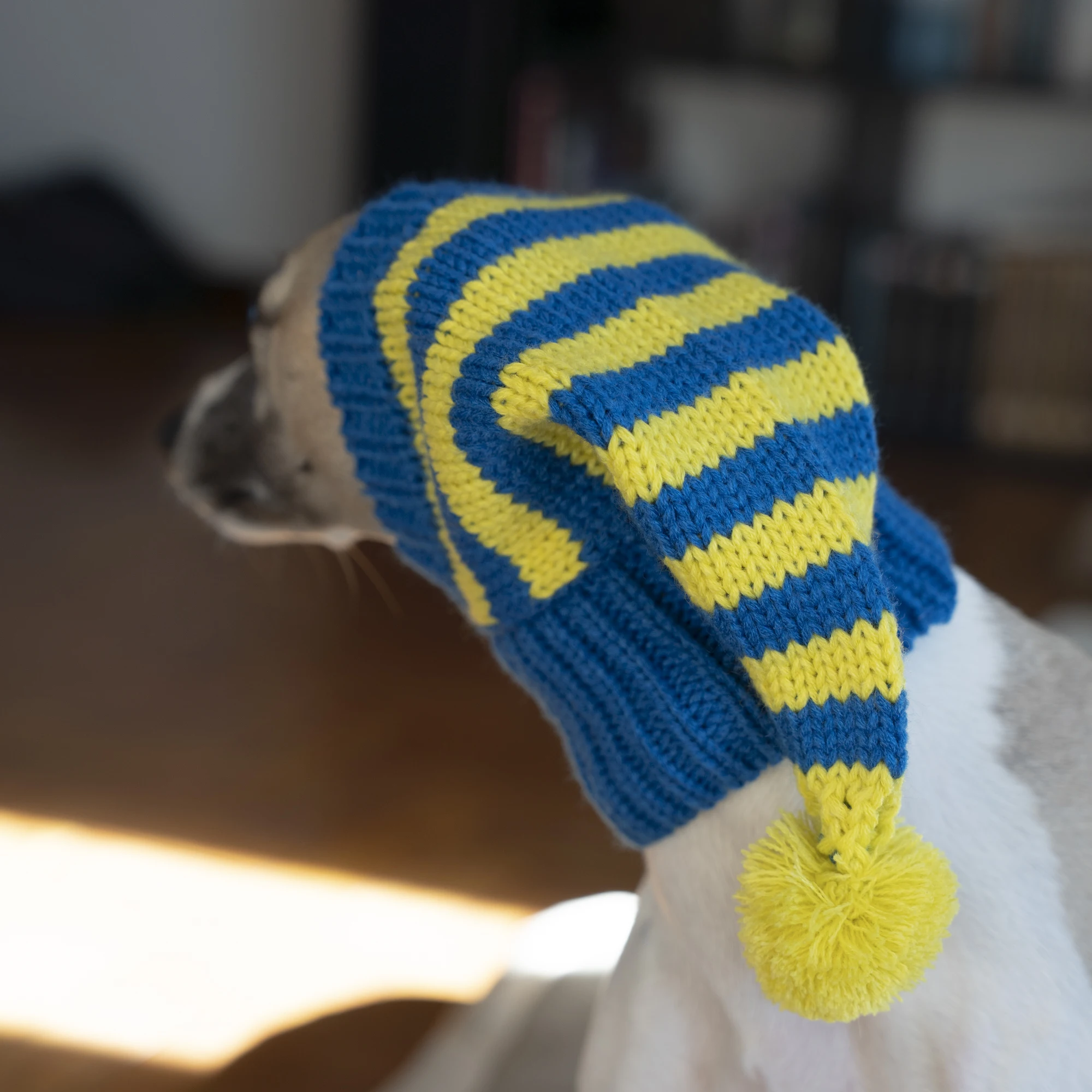 Gorro de punto a rayas azules para perros medianos en invierno Galgo italiano Primavera lindo disfraz Whippet Pet Warm Hat en otoño - imagen 4