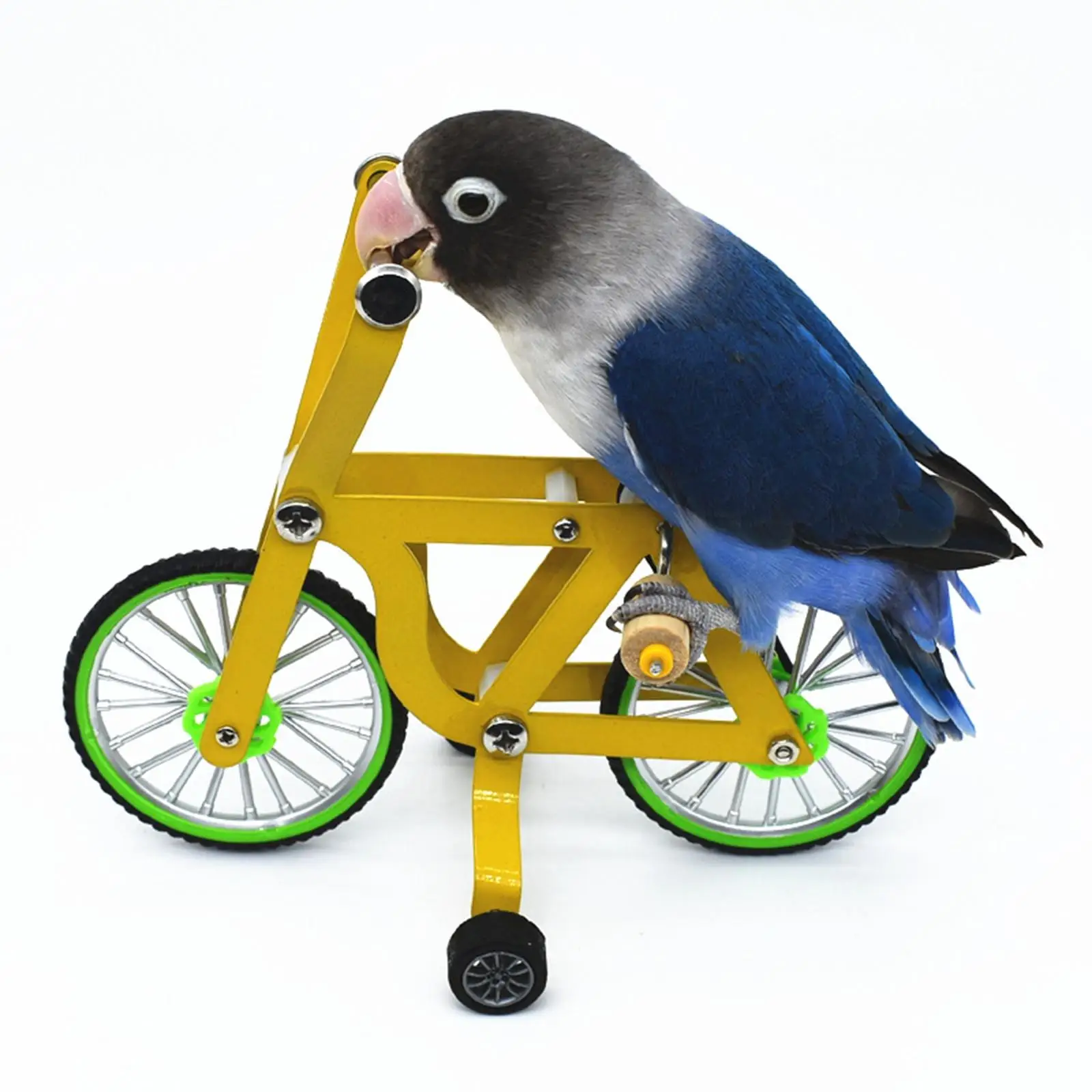 Bicicleta para loros – Juguete metálico de inteligencia y ejercicio