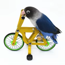 Bicicleta para loros – Juguete metálico de inteligencia y ejercicio