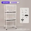 B062 White Standard