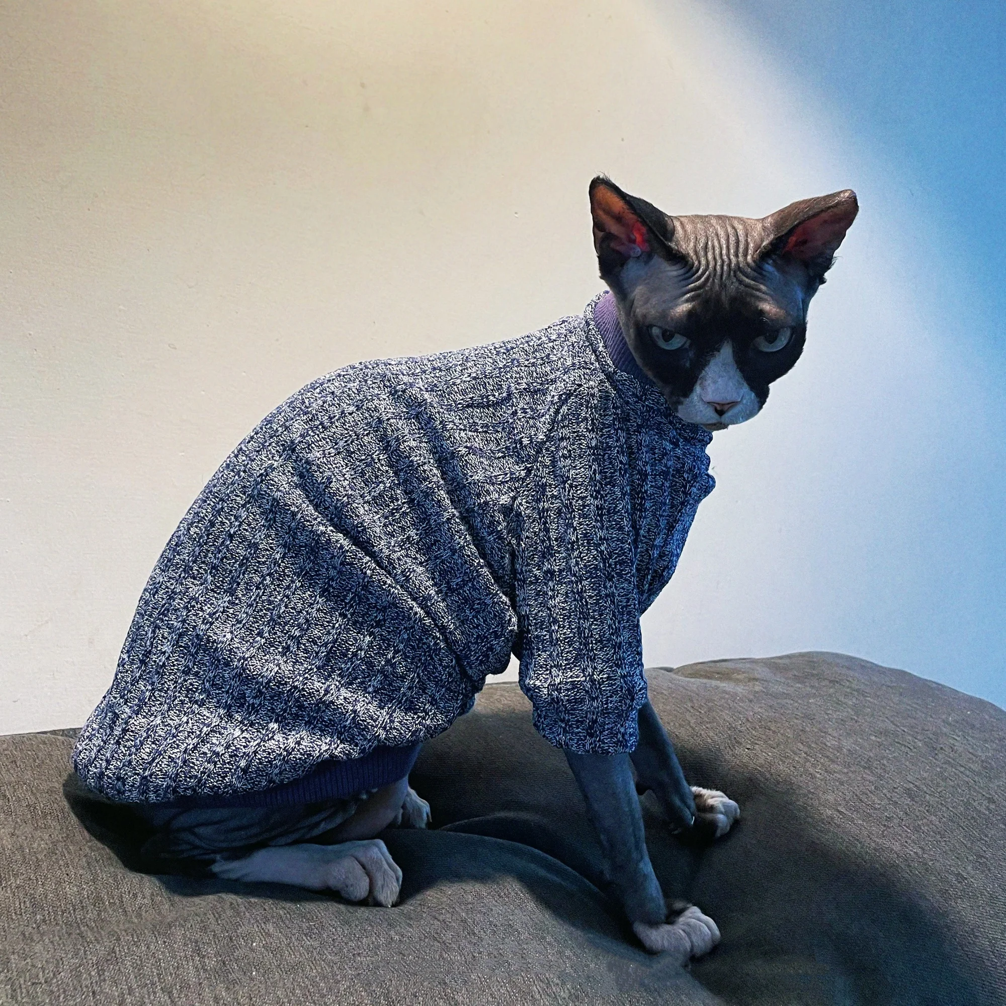 Suéter de cuello alto para gato sin pelo en invierno, ropa cálida de manga larga tejida a mano para gato Sphynx, abrigo azul de otoño para gatitos - imagen 2
