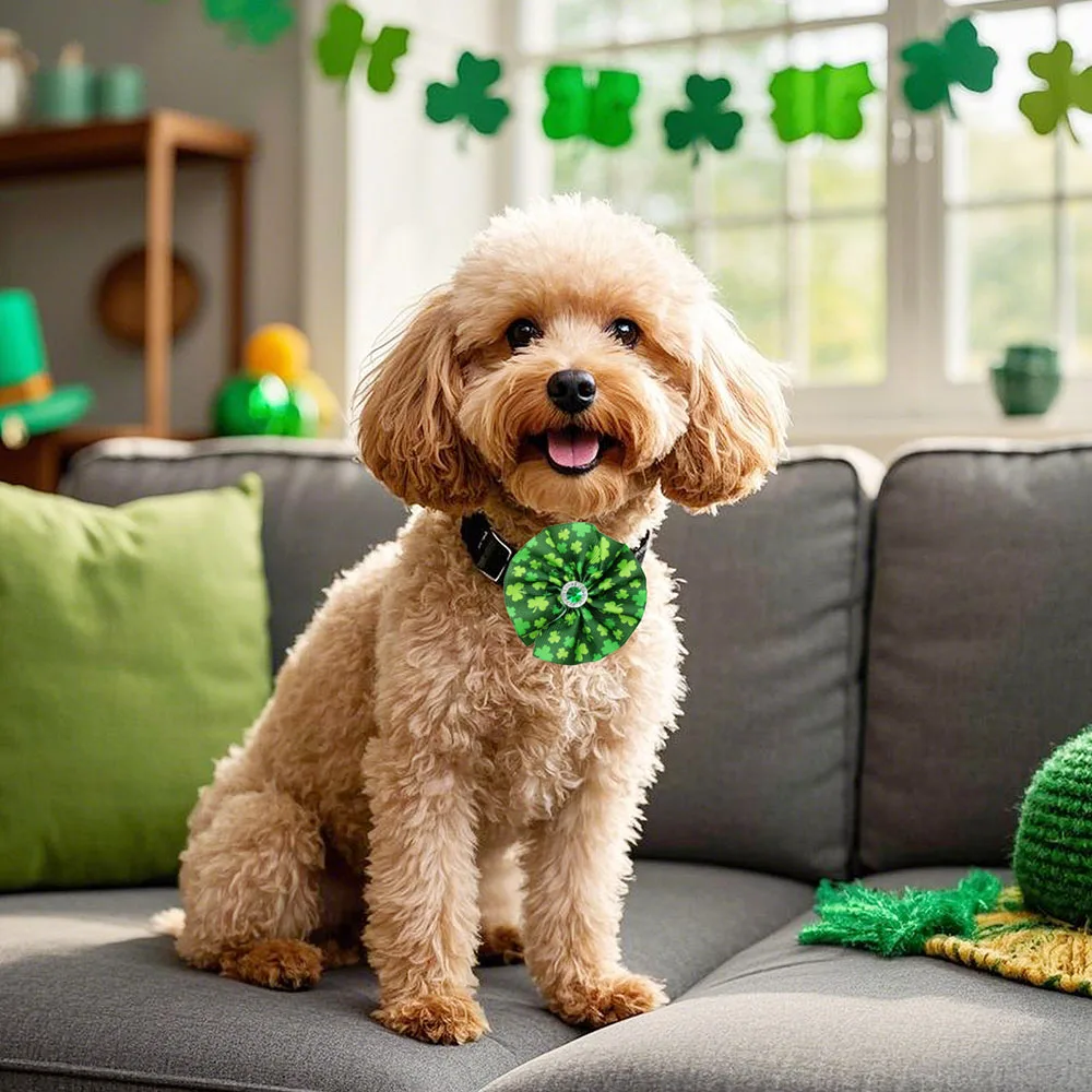 Corbata moño perro pequeño para San Patricio - imagen 4