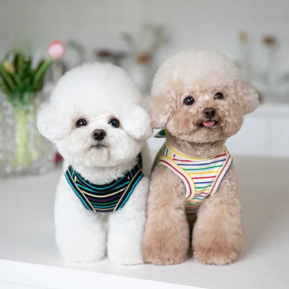 Ropa de otoño e invierno para mascotas, chaleco a rayas coloridas, ropa para perros, ropa de peluche, camisa Base para perros, ropa para cachorros, camisa para perros - imagen 2