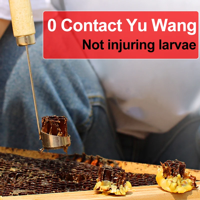 Apicultura sin injerto Kit de cría de reina peine cortador de base, cortador de marco de reina herramienta de corte Extractor equipo de apicultura - imagen 5