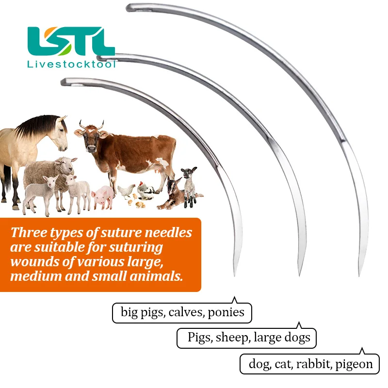 10 Pcs Veterinary Suture Needle Surgical Needle Pig Cattle Sheep Poultry Beast Medical Tool Veterinary Equipment Livestock Tools - imagen 4