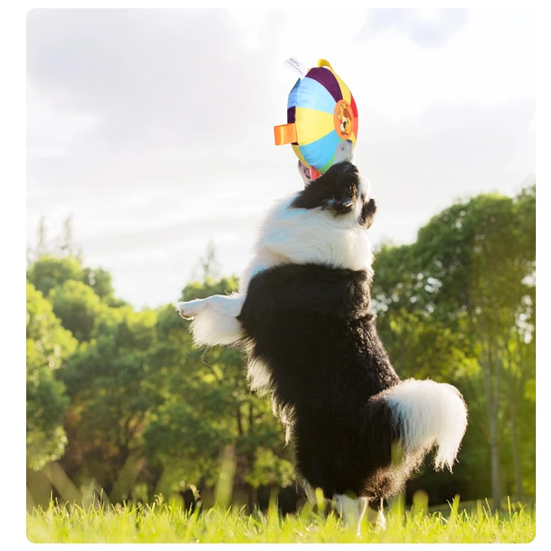 Platillo volador para perros, juguetes interactivos para deportes al aire libre, juegos de entrenamiento resistentes para masticar, discos voladores para cachorros, platillo volador de felpa suave - imagen 4