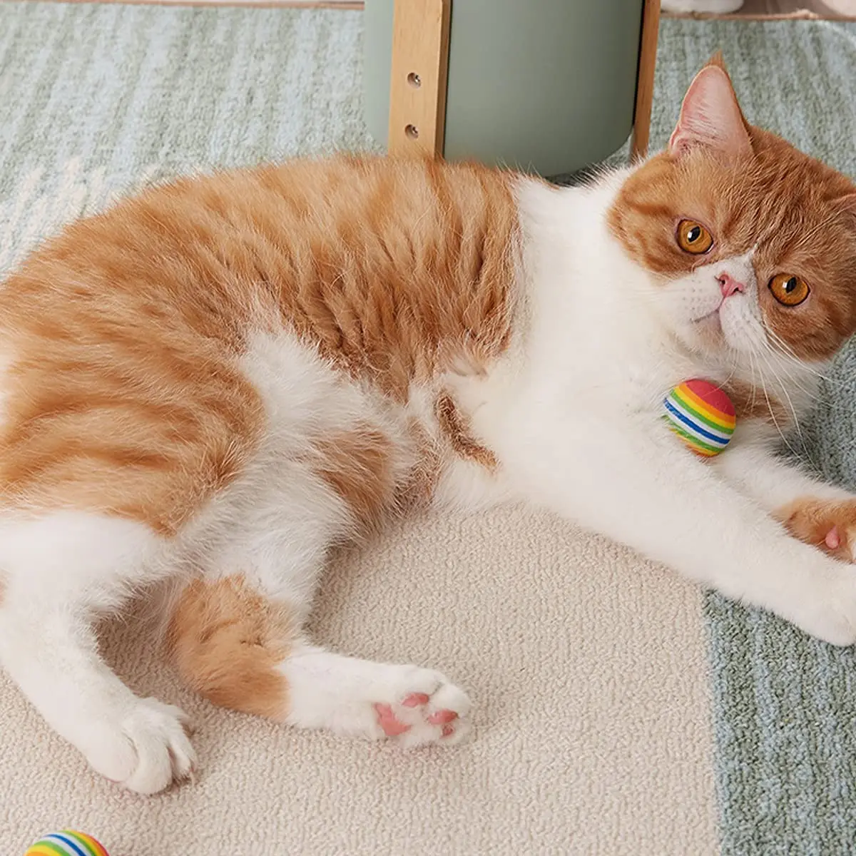 Juguete de felpa para gato, minicamión de felpa suave con plumas de colores, suministro para mascotas, 5/10/15 piezas - imagen 3