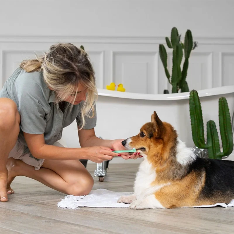 1 Uds. Cepillo de dientes para limpieza de dientes de perro, cepillo de cabeza pequeña para perros, herramientas de limpieza de dientes y boca, cuidado de mascotas, cepillo de dientes para gatos, productos para mascotas - imagen 5
