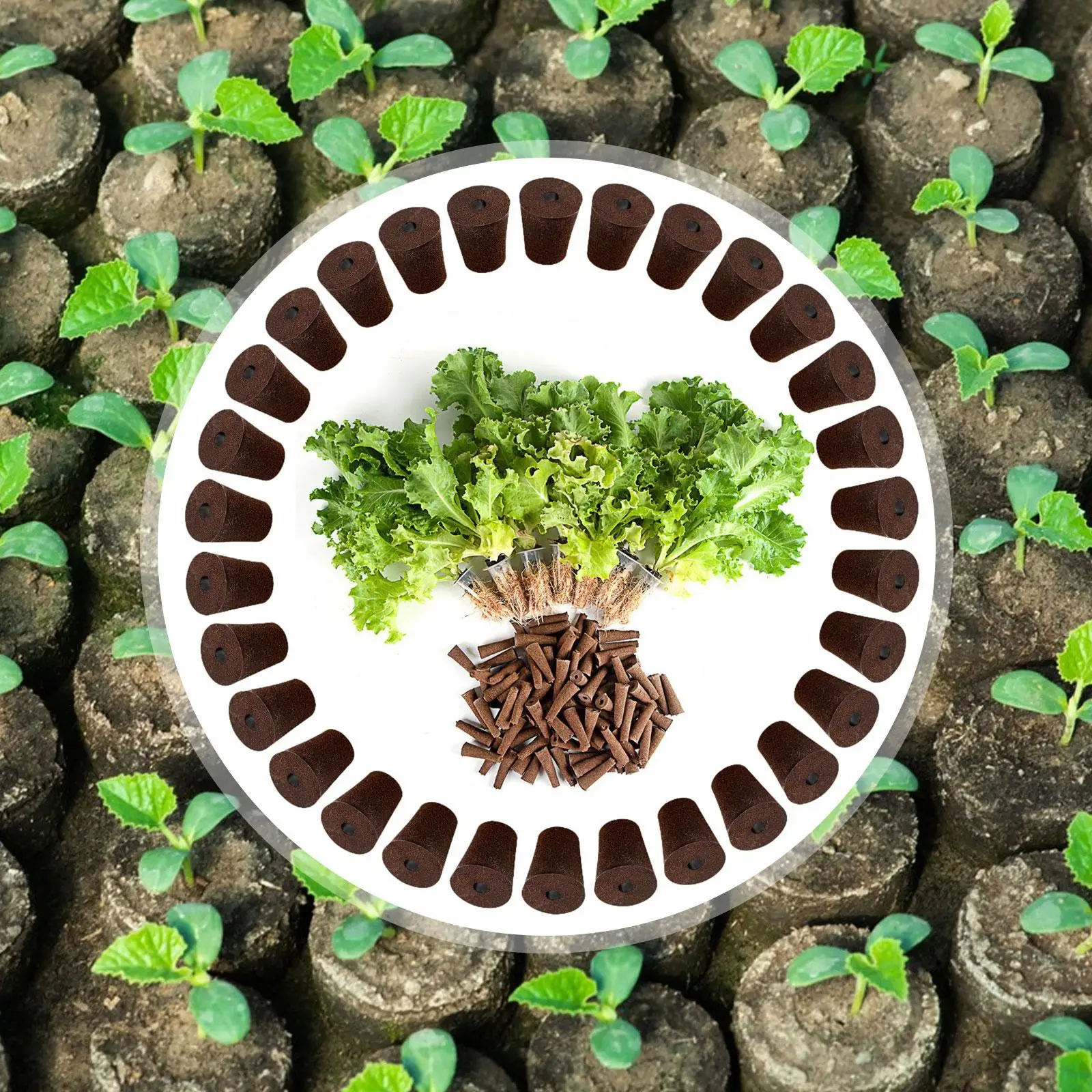 Esponjas de cultivo expandibles, tapones de fibra de coco y torba para iniciación de semillas de jardín hidropónico, plantación sin suelo