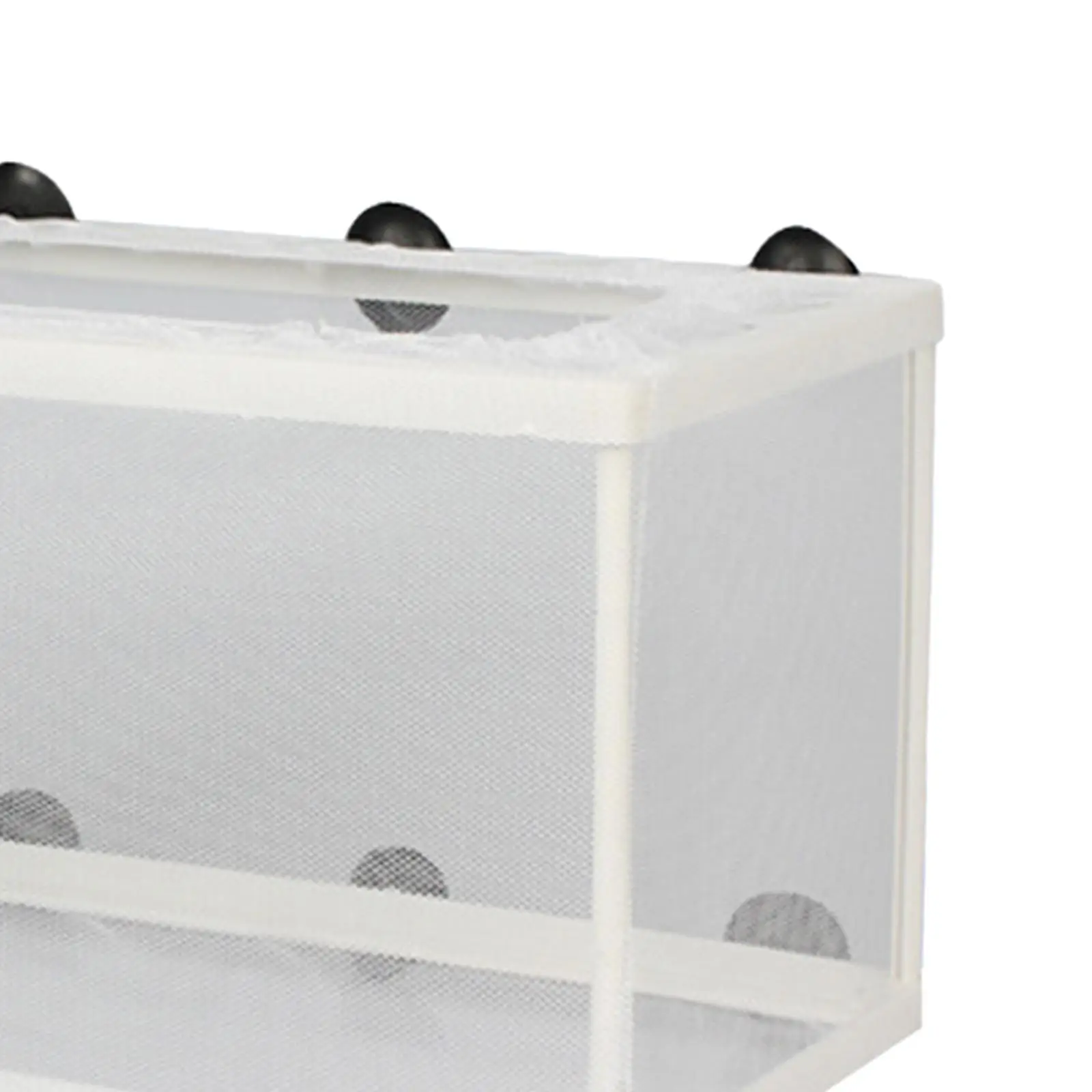 Caja de criadero de peces con ventosas, Red de aislamiento para incubar peces, peces agresivos, Guppy - imagen 5