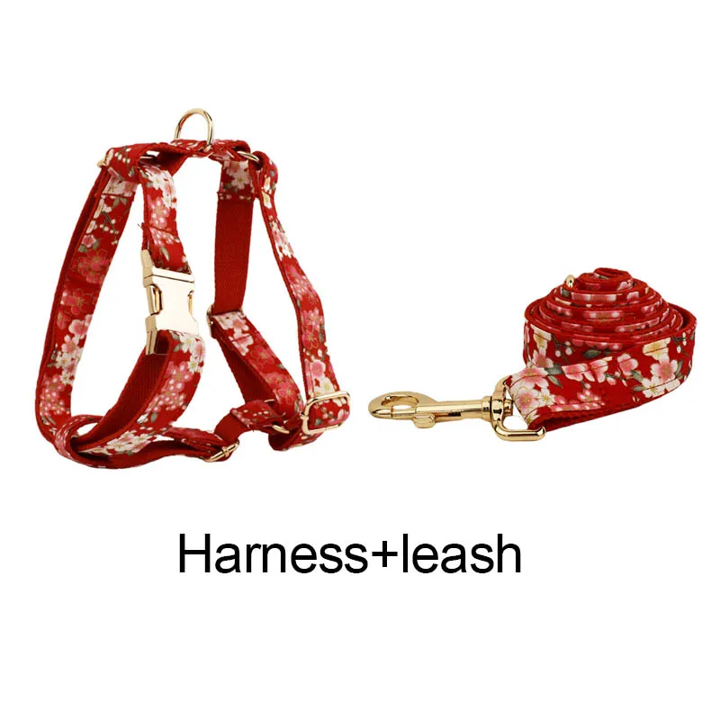 Harness   leash