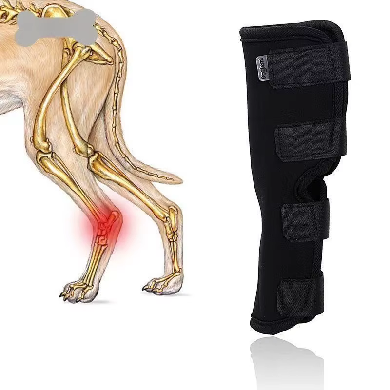 Soporte de rodilla para perros y gatos – Recuperación articular - imagen 4