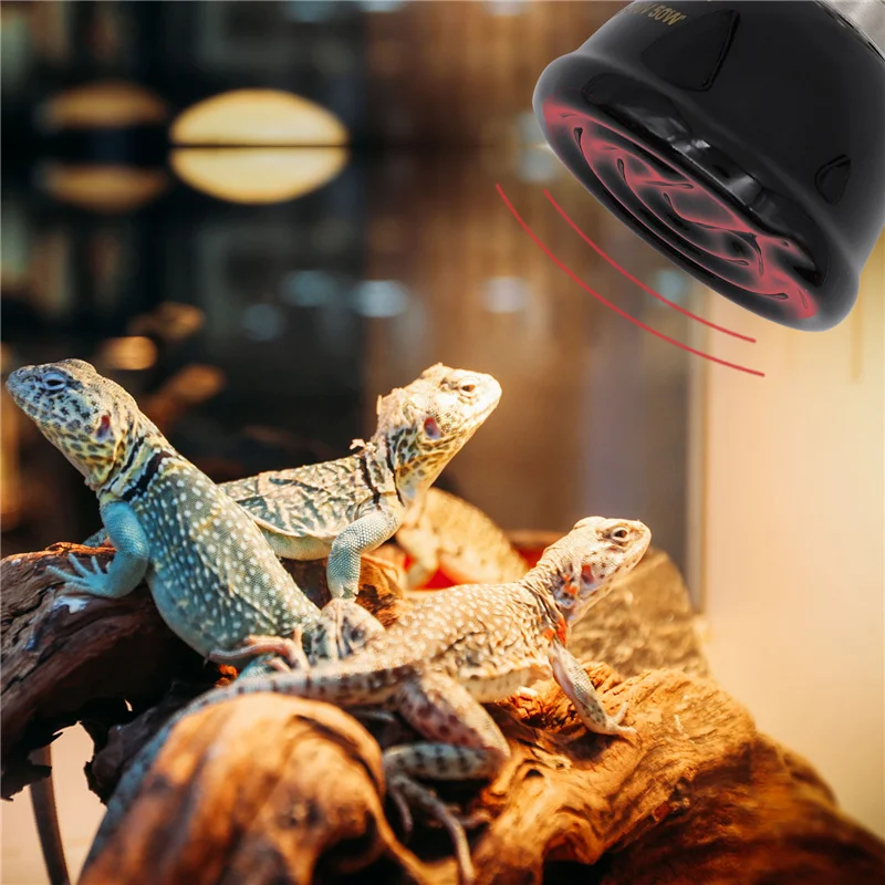 Lámpara calefactora E27 para mascotas, emisor de cerámica, Bombilla de calor, Mini lámpara infrarroja para reptiles, 25/50/75/100W - imagen 3