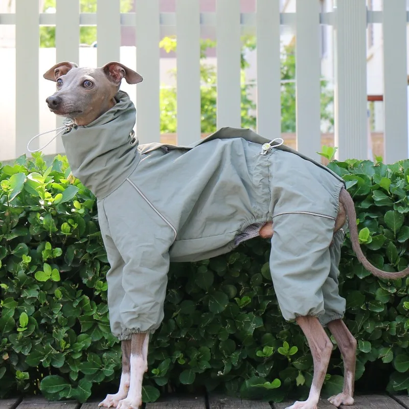 Chubasquero impermeable ajustable para Galgos y Whippets