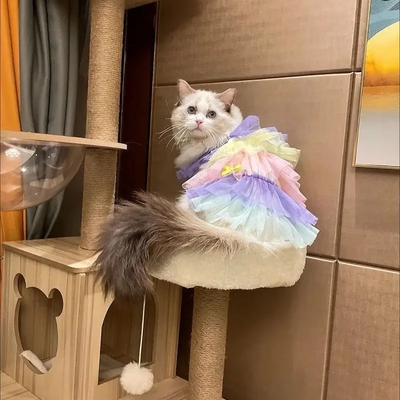 Ins perro verano gato mariposa princesa vestido ropa encaje perla cachorro falda de boda para York Chihuahua caniche vestidos para perros pequeños - imagen 3