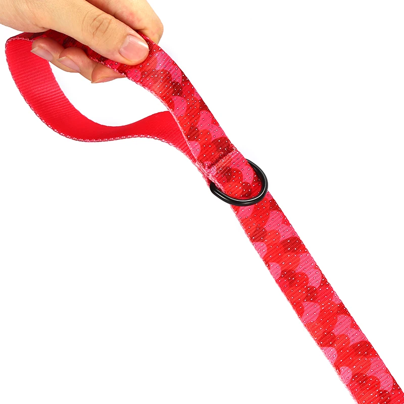 Correa para perro PLATTCO personalizada STRAWBERRY JELLY, correa para cachorros de nailon de imitación para mascotas pequeñas, medianas y grandes, 5 tamaños PDL322 - imagen 4