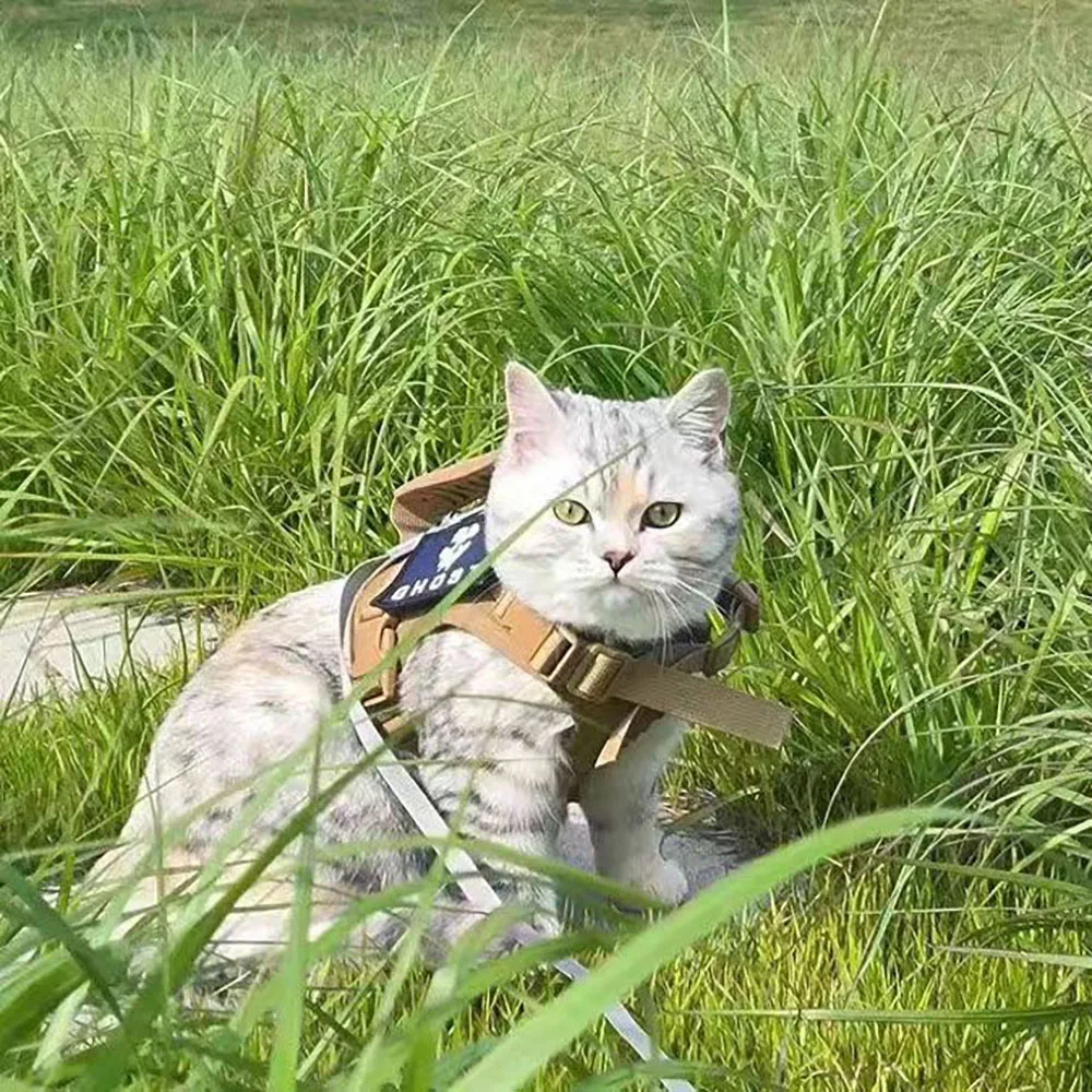 Arnés táctico para gatos y perros pequeños – conjunto con correa - imagen 2