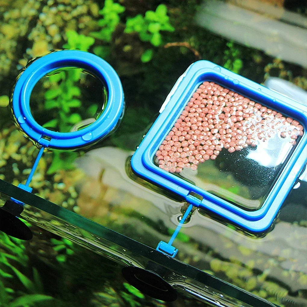Anillo de alimentación para acuario, estación de tanque de peces, bandeja flotante para comida, alimentador, nuevo círculo cuadrado, alimentador de peces, ventosa, accesorios para acuario - imagen 2