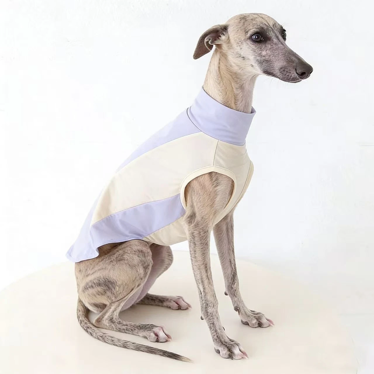 Chaleco transpirable secado rápido para Galgo Italiano y Whippet - imagen 4