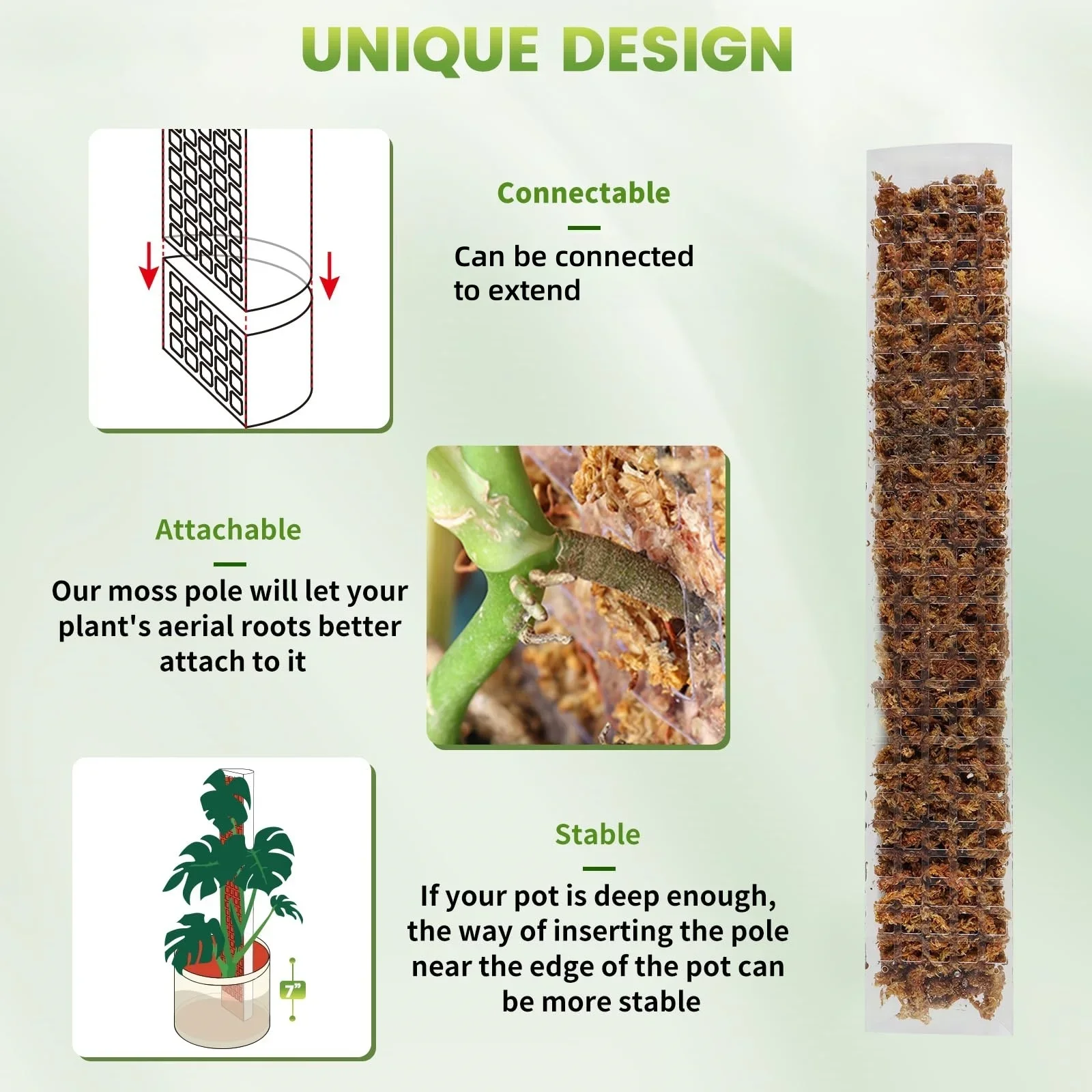 Poste de musgo de plástico de 24 pulgadas/36 pulgadas/48 pulgadas para plantas Monstera, postes de plantas para plantas trepadoras, soporte para plantas de interior, estaca de crecimiento de jardín - imagen 2