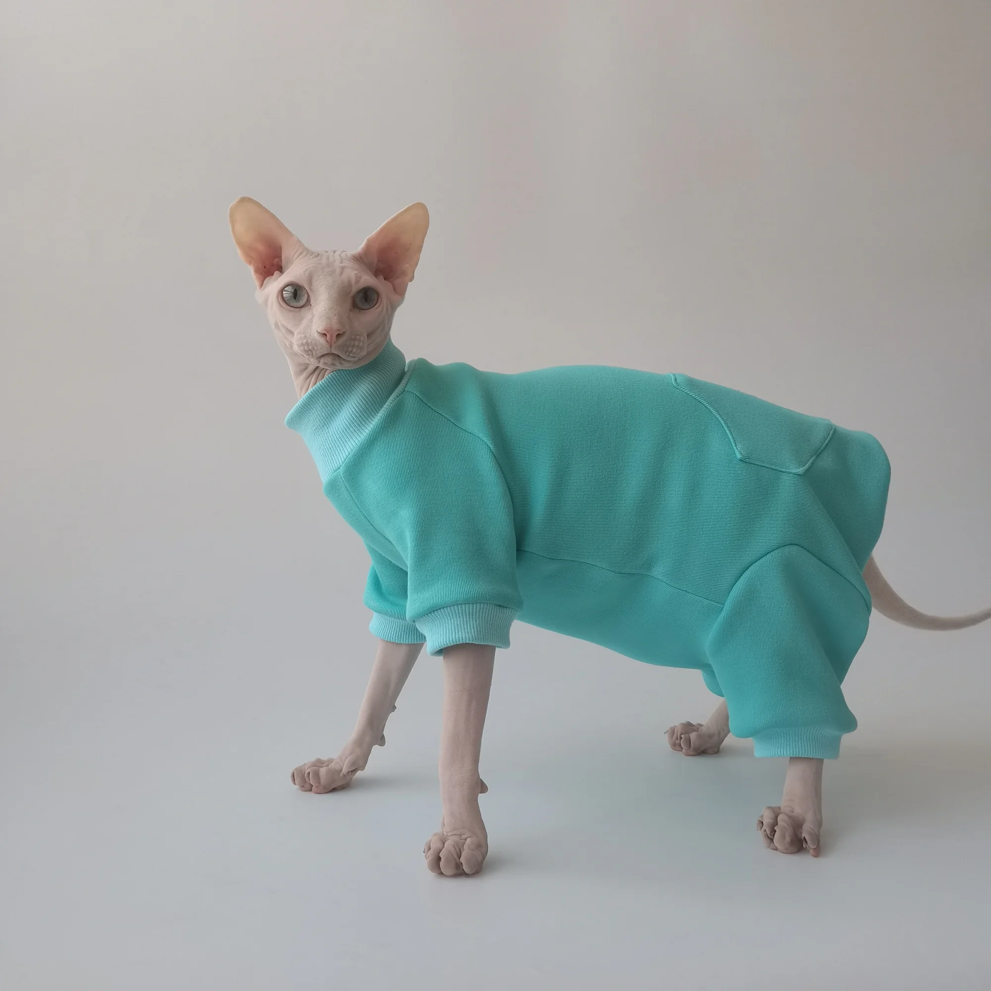 Chaqueta de lana para gato sin pelo, abrigo de invierno para Sphynx y Devon Rex - imagen 3