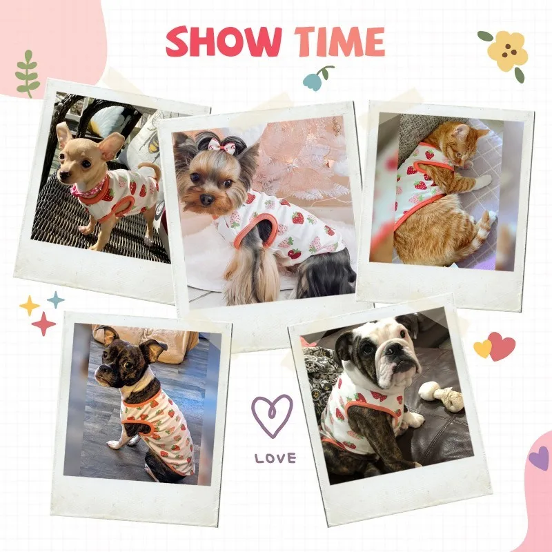 Camiseta de verano con estampado de fresas para perros pequeños