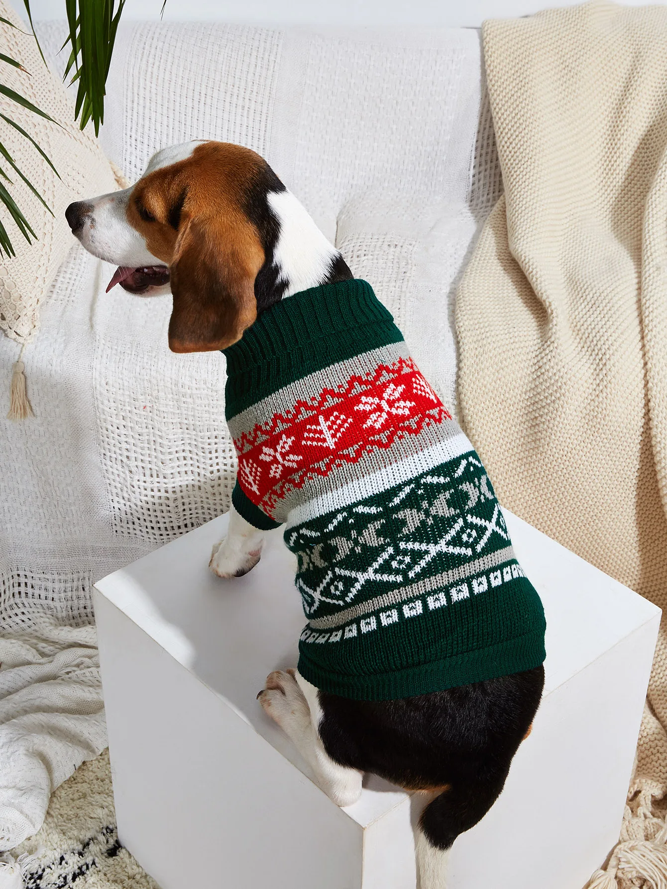 Dog Sweater, Warm Pet Sweater, Dog Sweaters for Small Dogs Medium Dogs, Cute Knitted Classic Cat Sweater Dog Clothes Coat for Gi - imagen 5