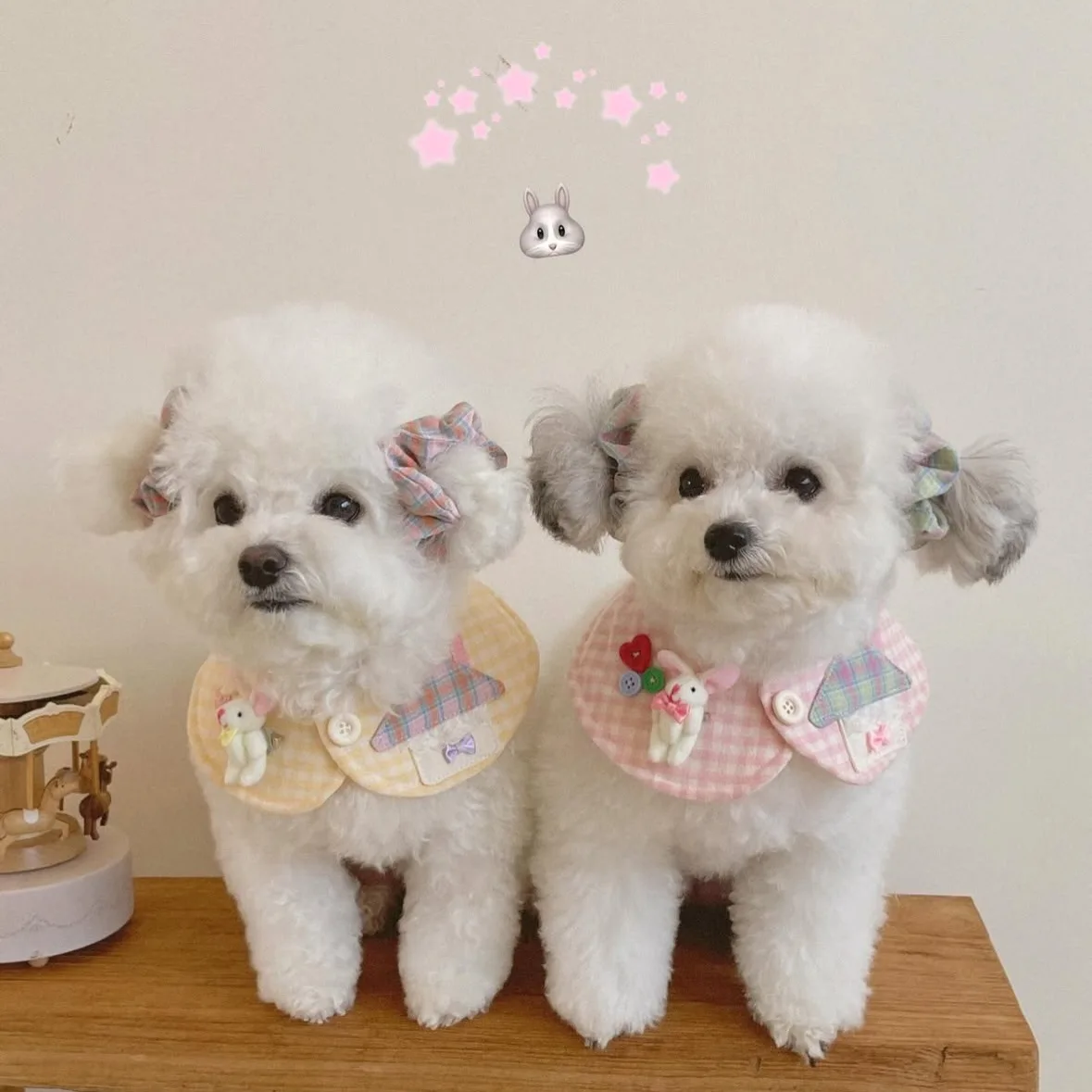 Lindo conejo a cuadros mascota gato perro mascota bufanda babero toalla decoración capa ropa accesorios para gatos accesorios para perros pequeños - imagen 2