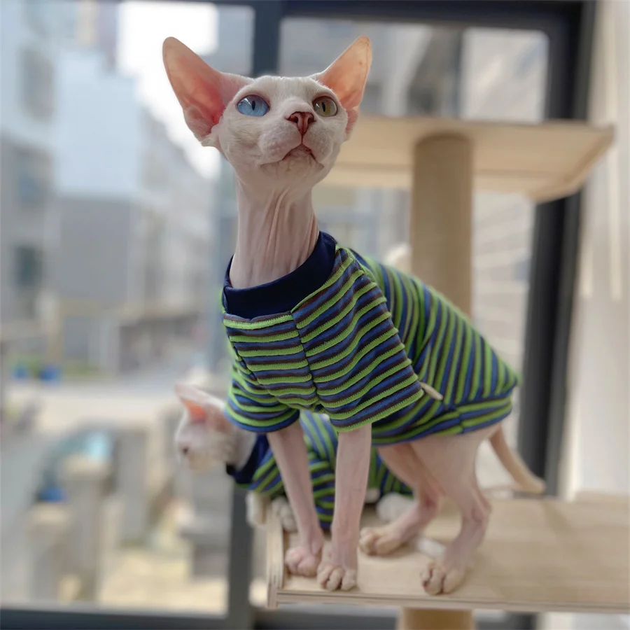 Sphynx CAT Summer Fashion Garment Green STRIPE Cotton Pyjama gatito soft polo camiseta gato macho Devon Rex abrigo - imagen 3