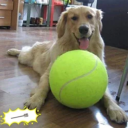 Pelota de tenis masticable para perros grandes – Juguete exterior