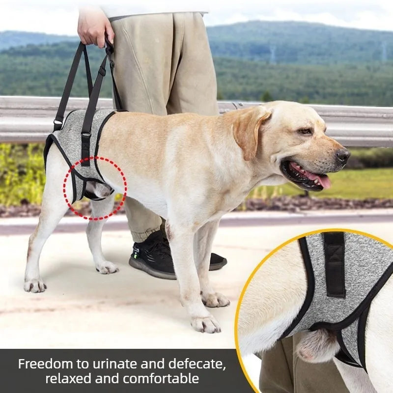 Arnés para soporte patas traseras en perro – Asistente de movilidad - imagen 4