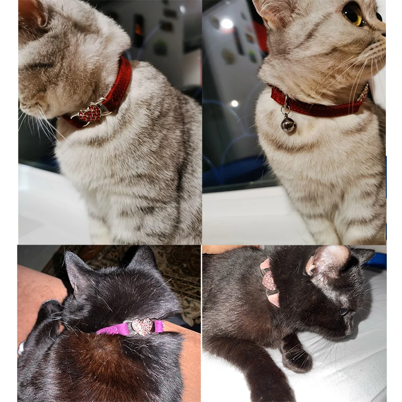 Collar de gato con forma de corazón, nombre de seguridad, grabado de identificación personalizado, ajustable con Material de terciopelo suave, producto para mascotas de 5 colores, Collar para perros pequeños - imagen 5