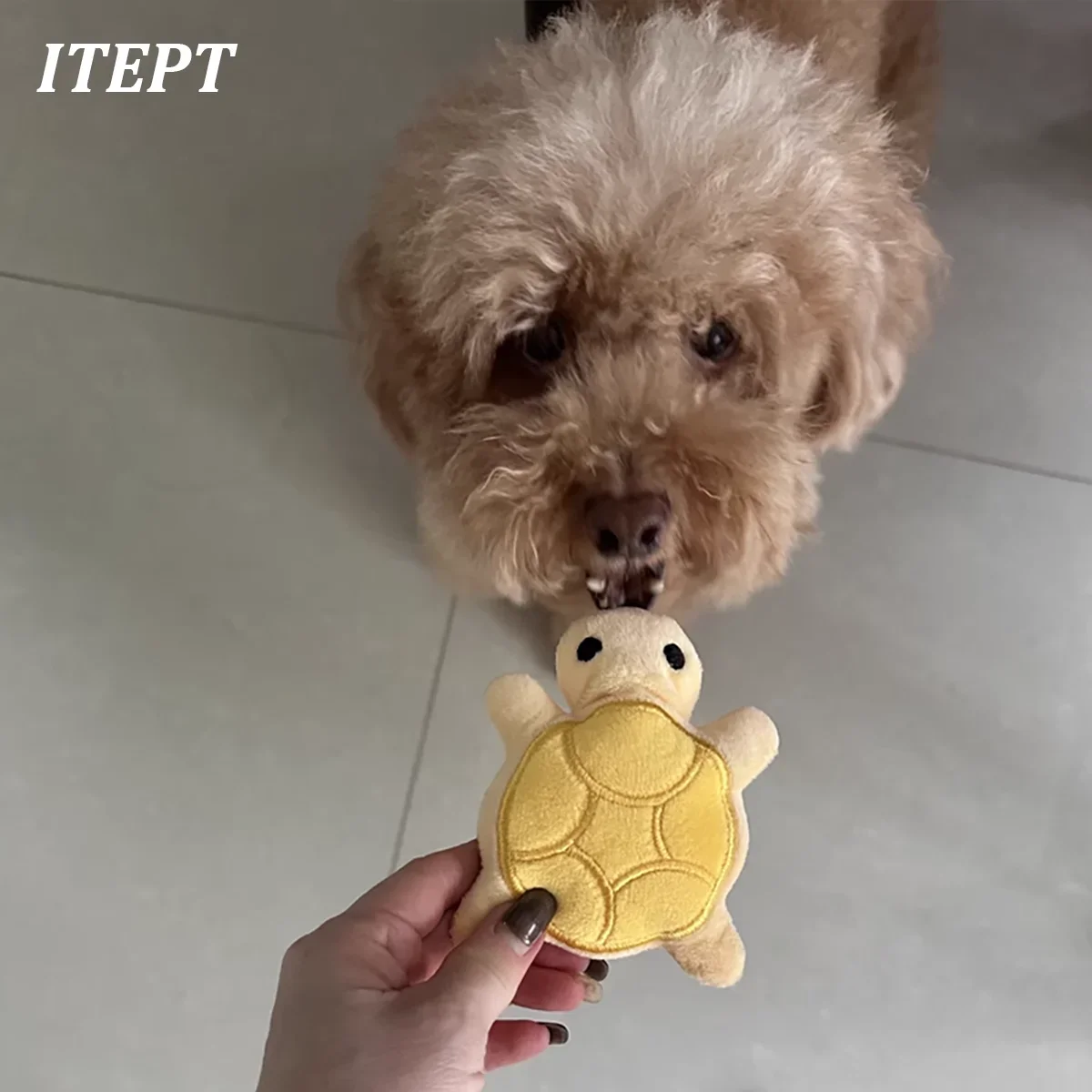 Juguete dental para perros - tortuga de peluche masticable y seguro - imagen 4